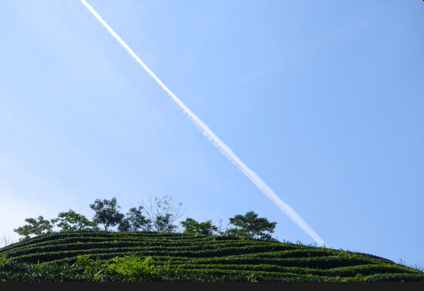 抽水肥多久沒清？五大異常警訊告訴你該處理了