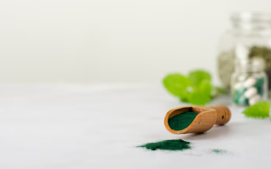 失智症用藥與照護搭配：為何兩者同樣重要？